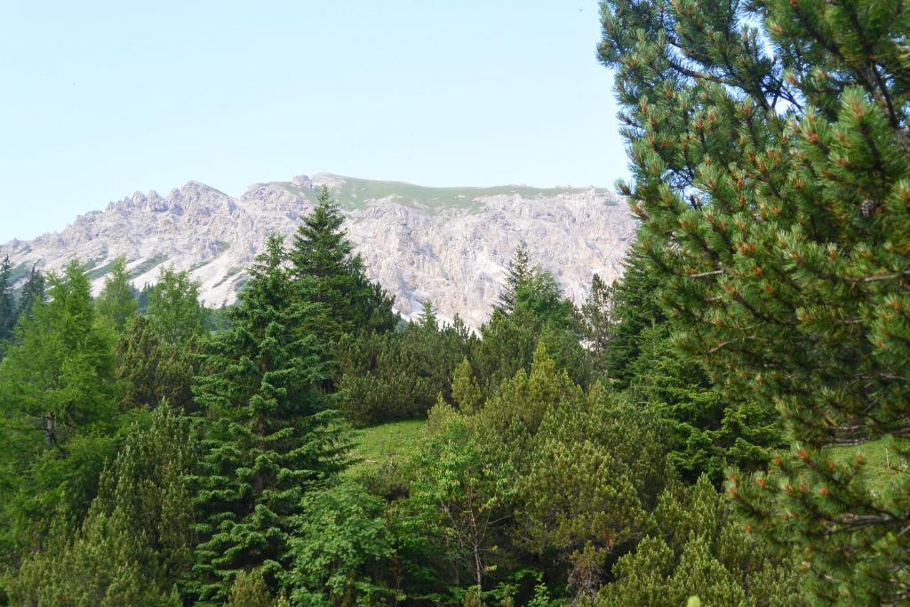 Voegeli Alpenhotel Malbun Εξωτερικό φωτογραφία